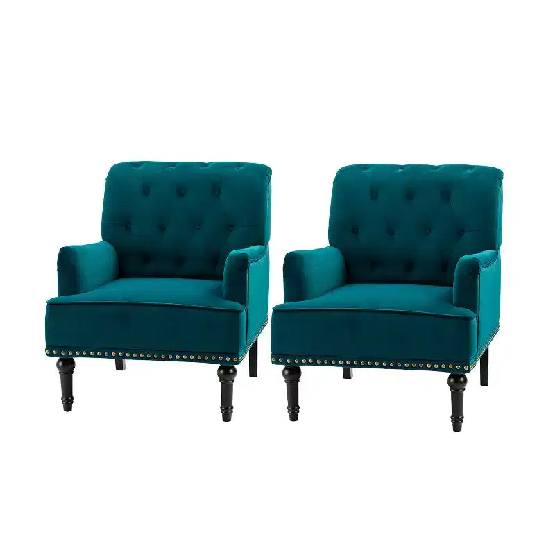 Set of 2 Bonifacio Armchair with Nailhead Trim | Karat Home